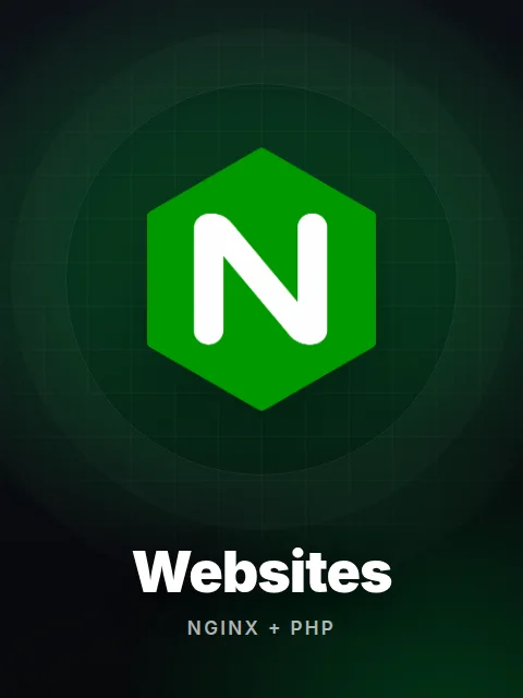Websites server hosting